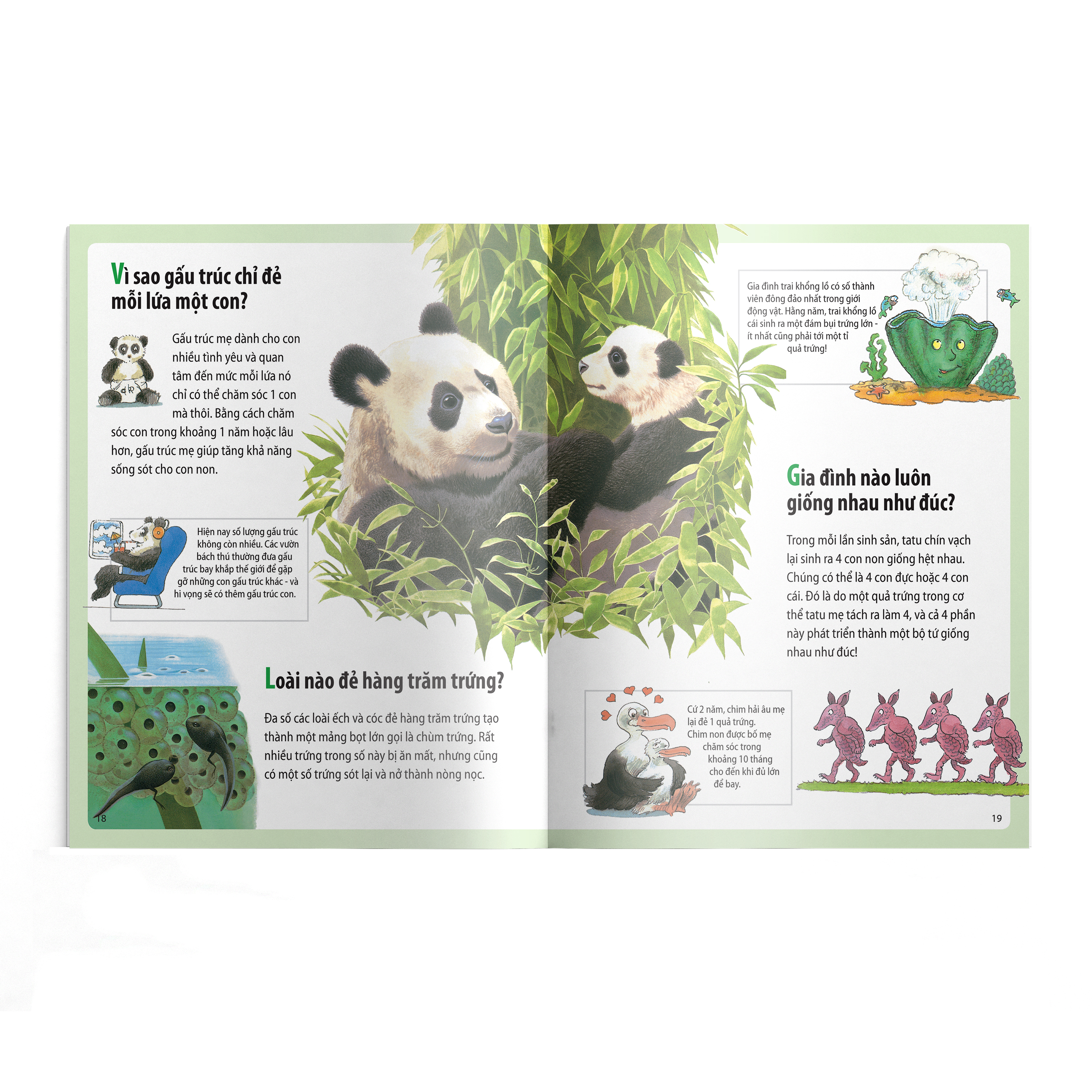 em muốn biết vì sao - kangaroo có túi và những câu hỏi khác về con non (tái bản 2022)