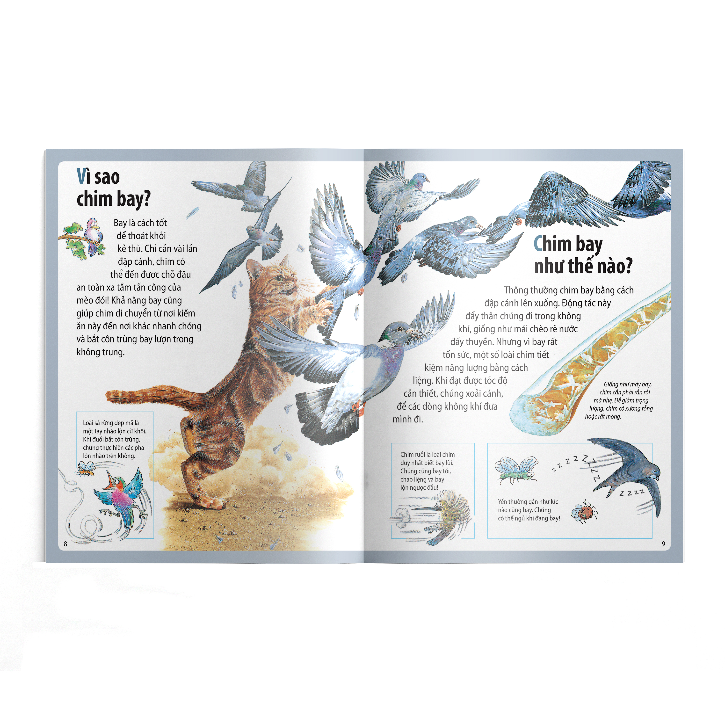 em muốn biết vì sao - ngỗng trời bay xa và những câu hỏi khác về chim chóc