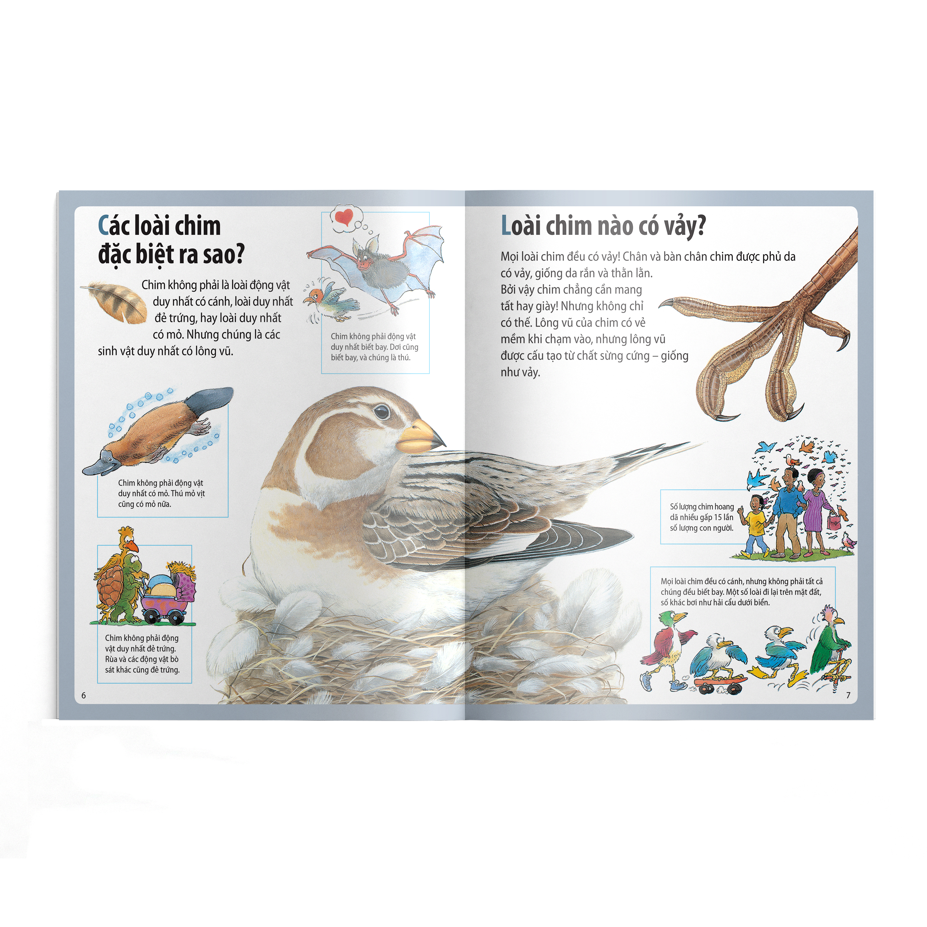 em muốn biết vì sao - ngỗng trời bay xa và những câu hỏi khác về chim chóc