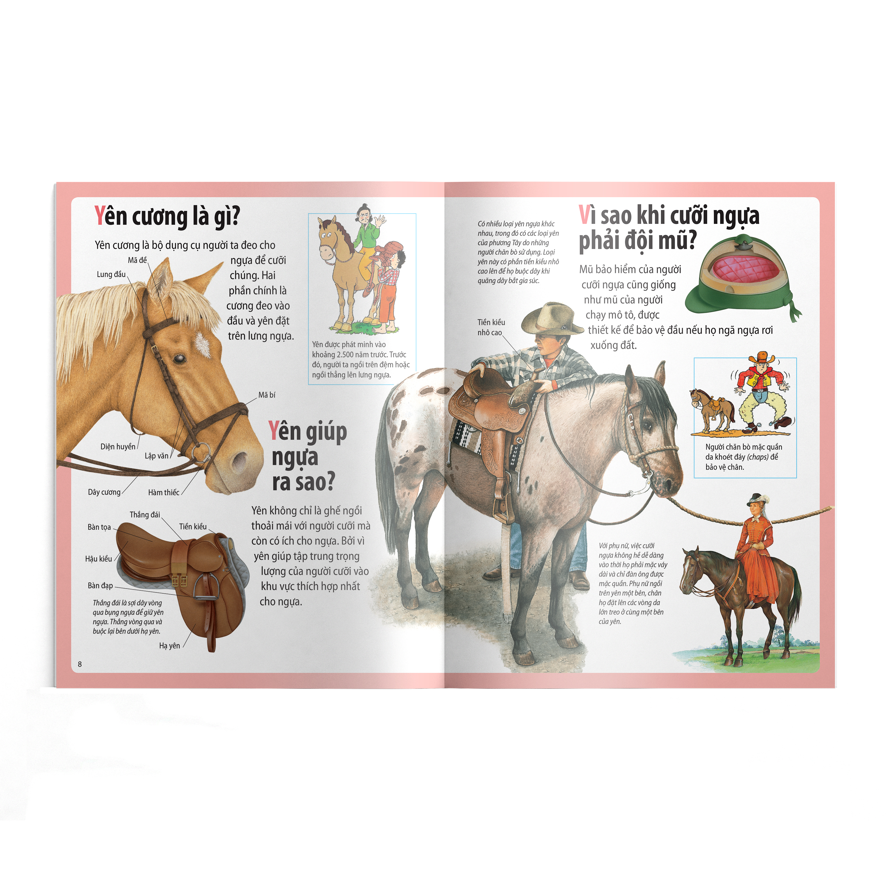 em muốn biết vì sao - ngựa có móng và những câu hỏi khác về ngựa