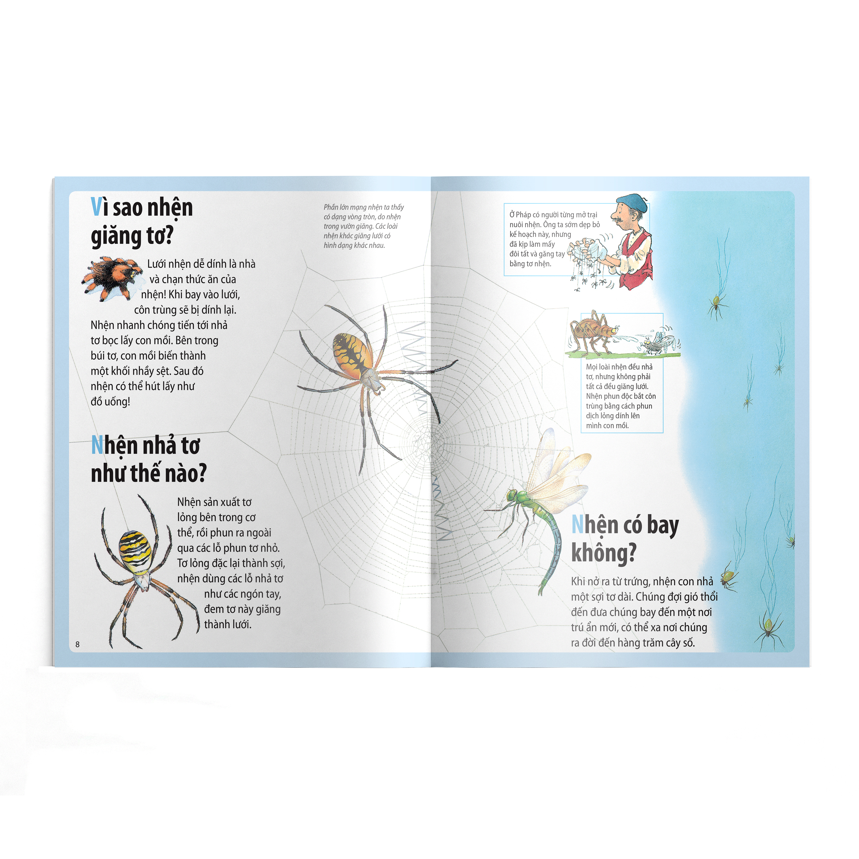 em muốn biết vì sao - nhện giăng tơ và những câu hỏi khác về các loài côn trùng