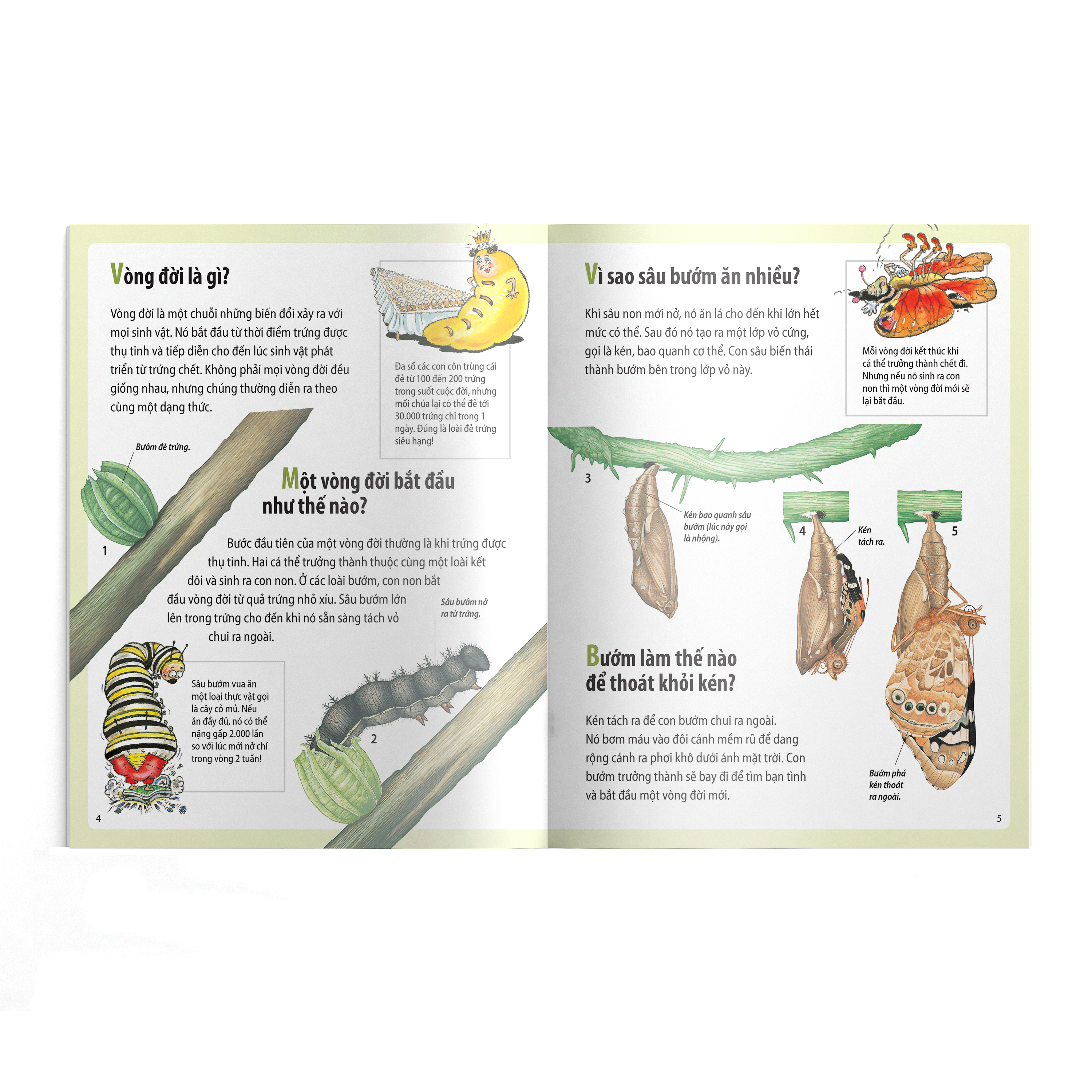 em muốn biết vì sao - sâu bướm ăn nhiều và những câu hỏi khác về sự sống (tái bản 2022)