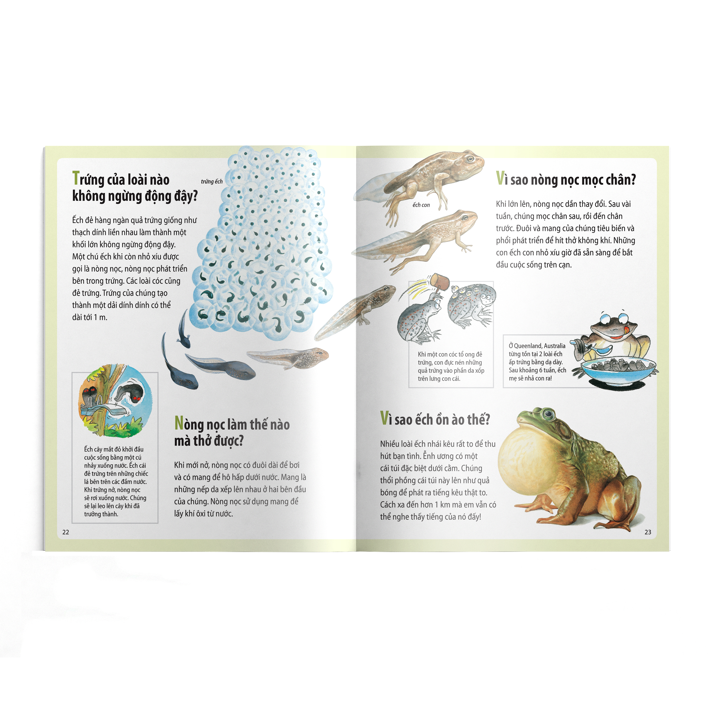 em muốn biết vì sao - sâu bướm ăn nhiều và những câu hỏi khác về sự sống (tái bản 2022)