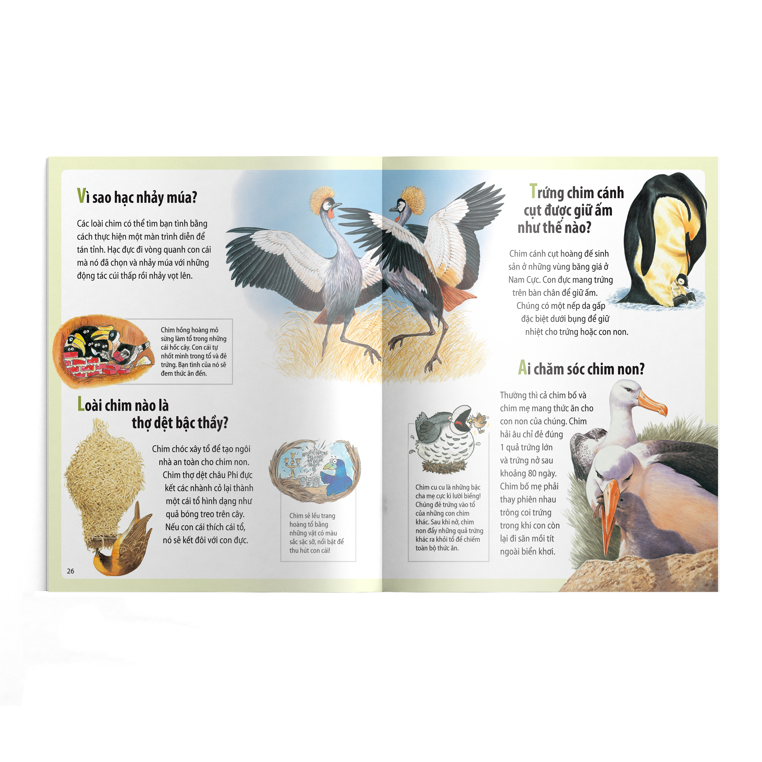 em muốn biết vì sao - sâu bướm ăn nhiều và những câu hỏi khác về sự sống (tái bản 2022)