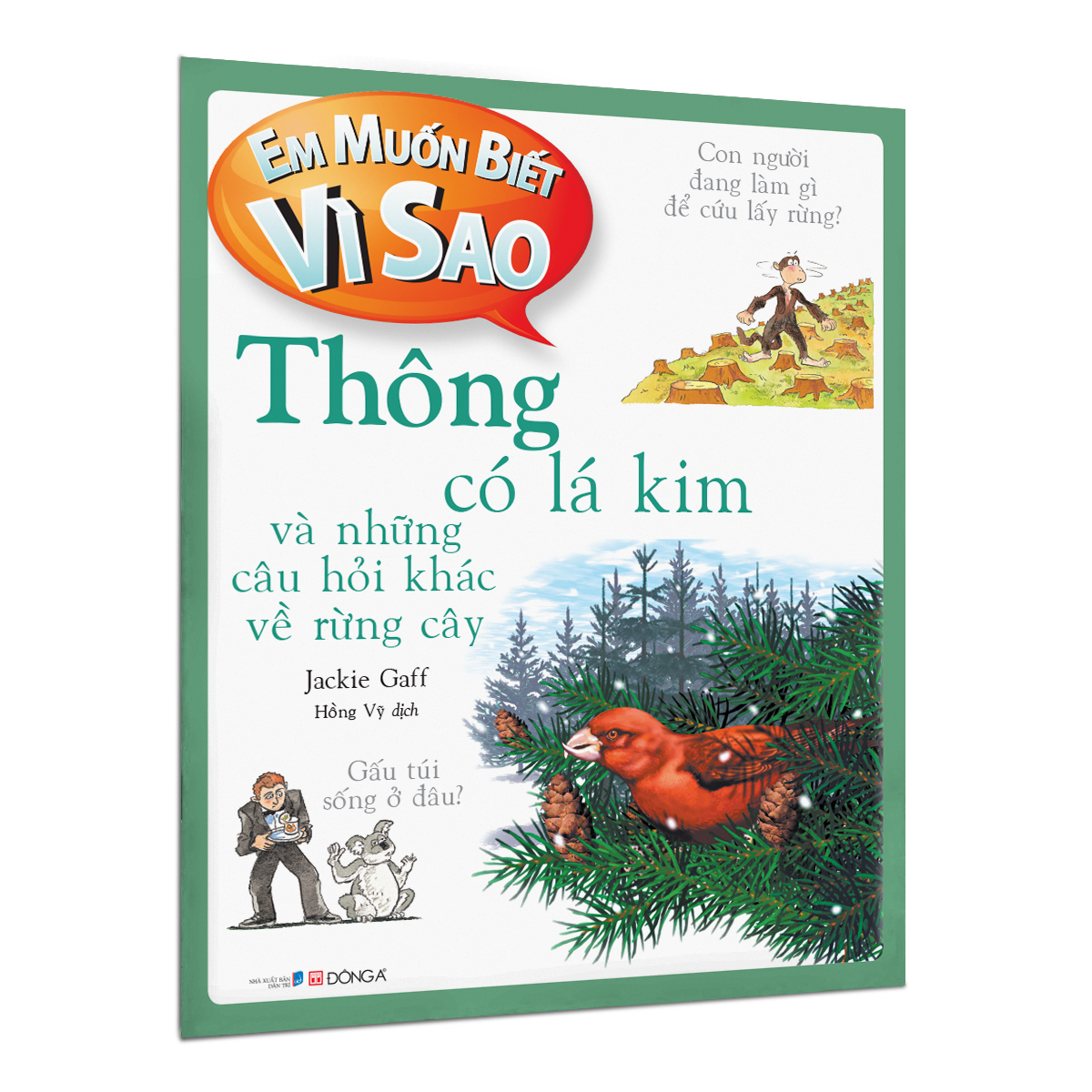 em muốn biết vì sao - thông có lá kim và những câu hỏi khác về rừng cây