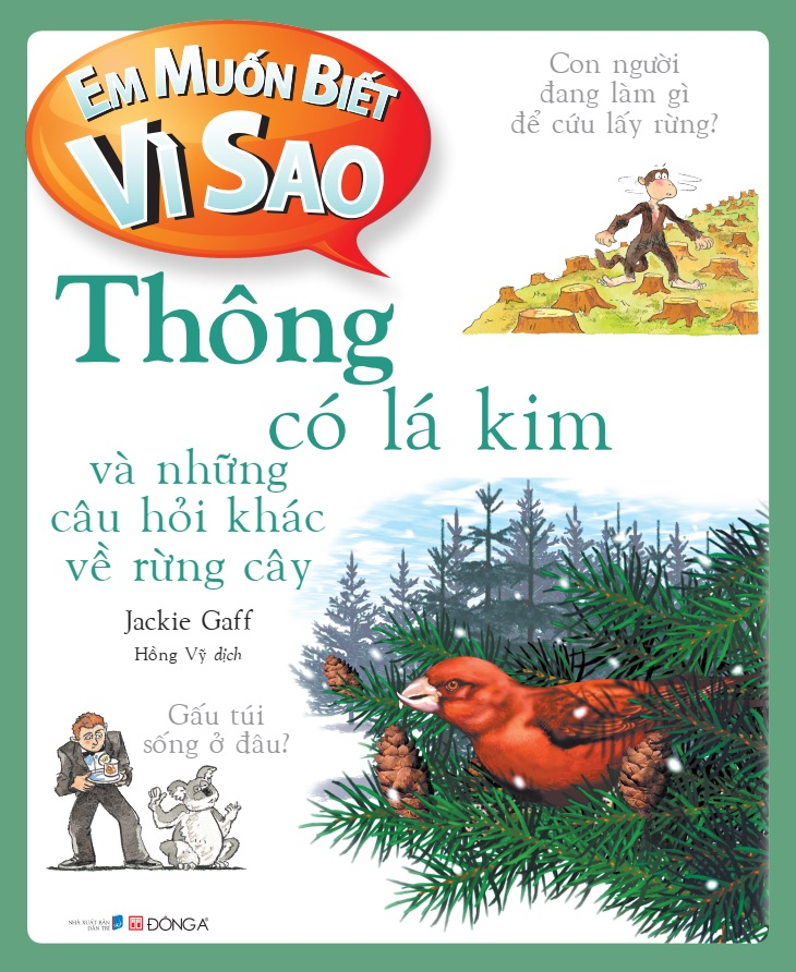 em muốn biết vì sao - thông có lá kim và những câu hỏi khác về rừng cây