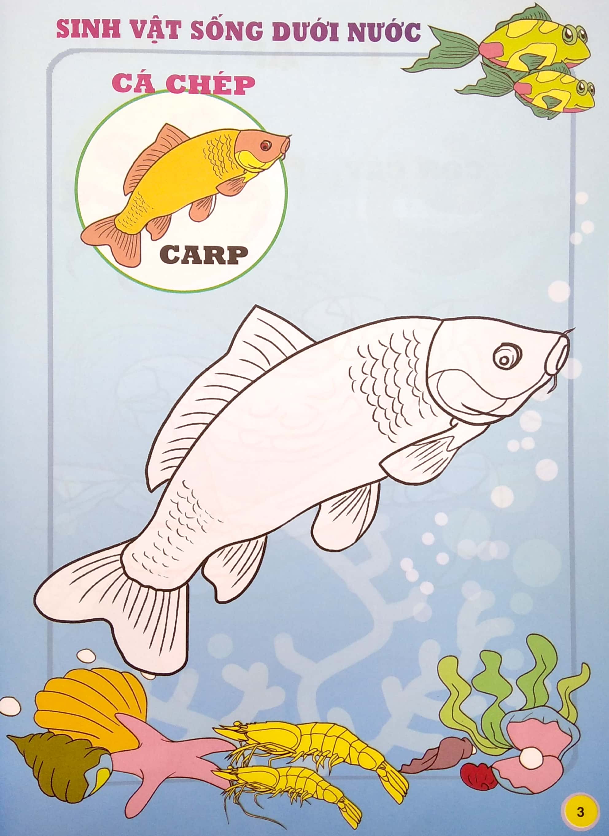 em tập tô màu - chủ đề: động vật sống dưới nước