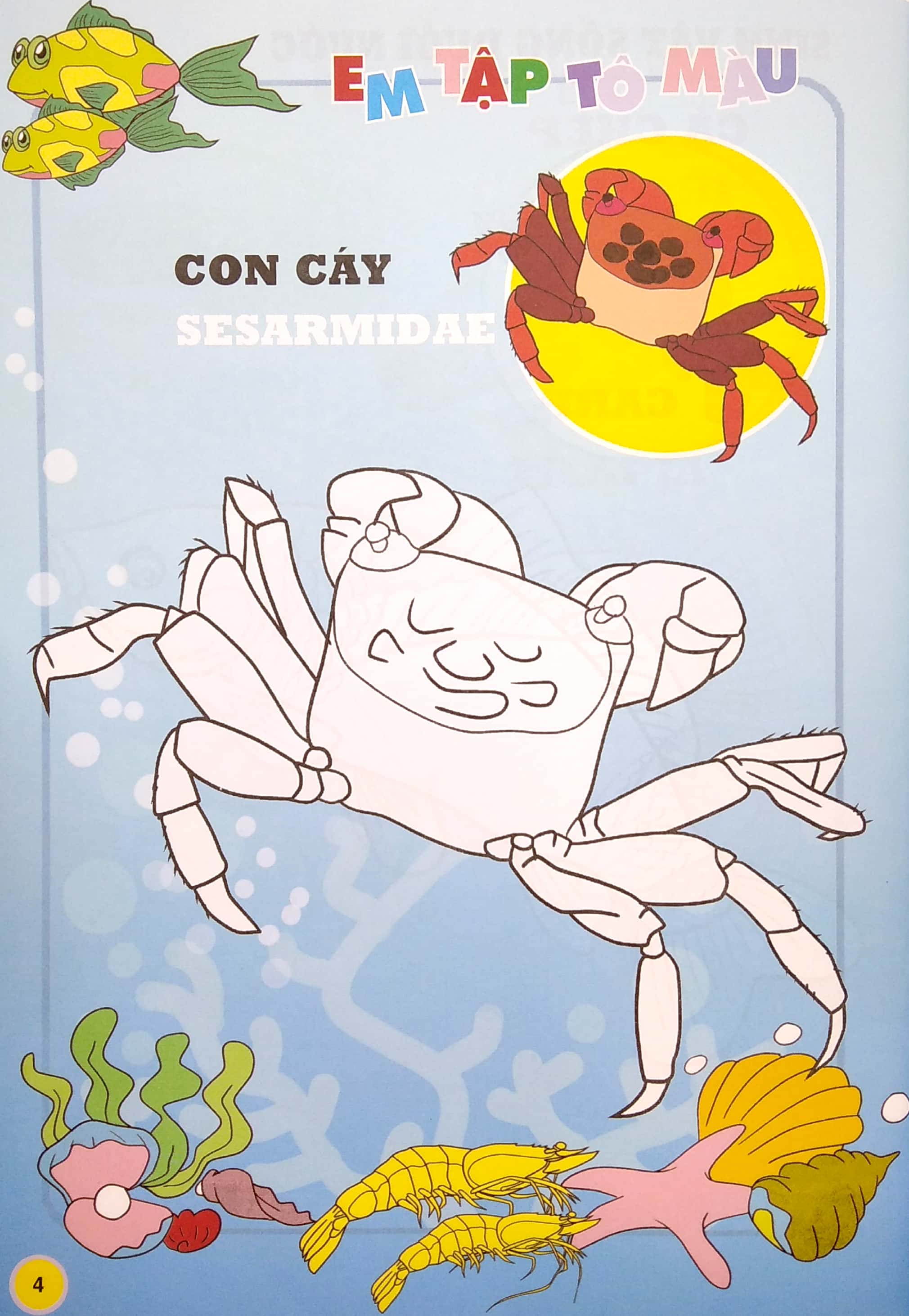 em tập tô màu - chủ đề: động vật sống dưới nước