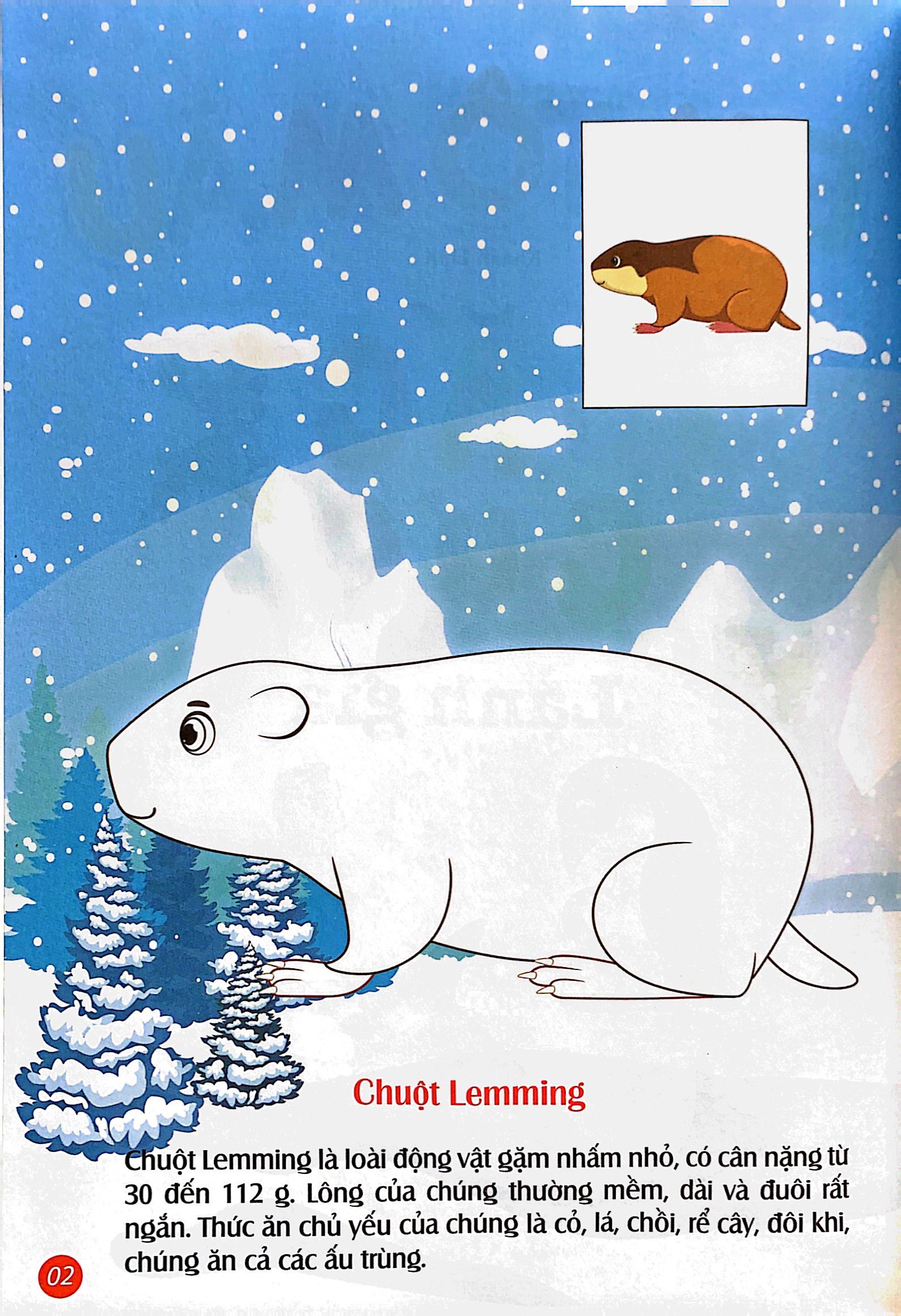 em tô màu - bắc cực lạnh giá