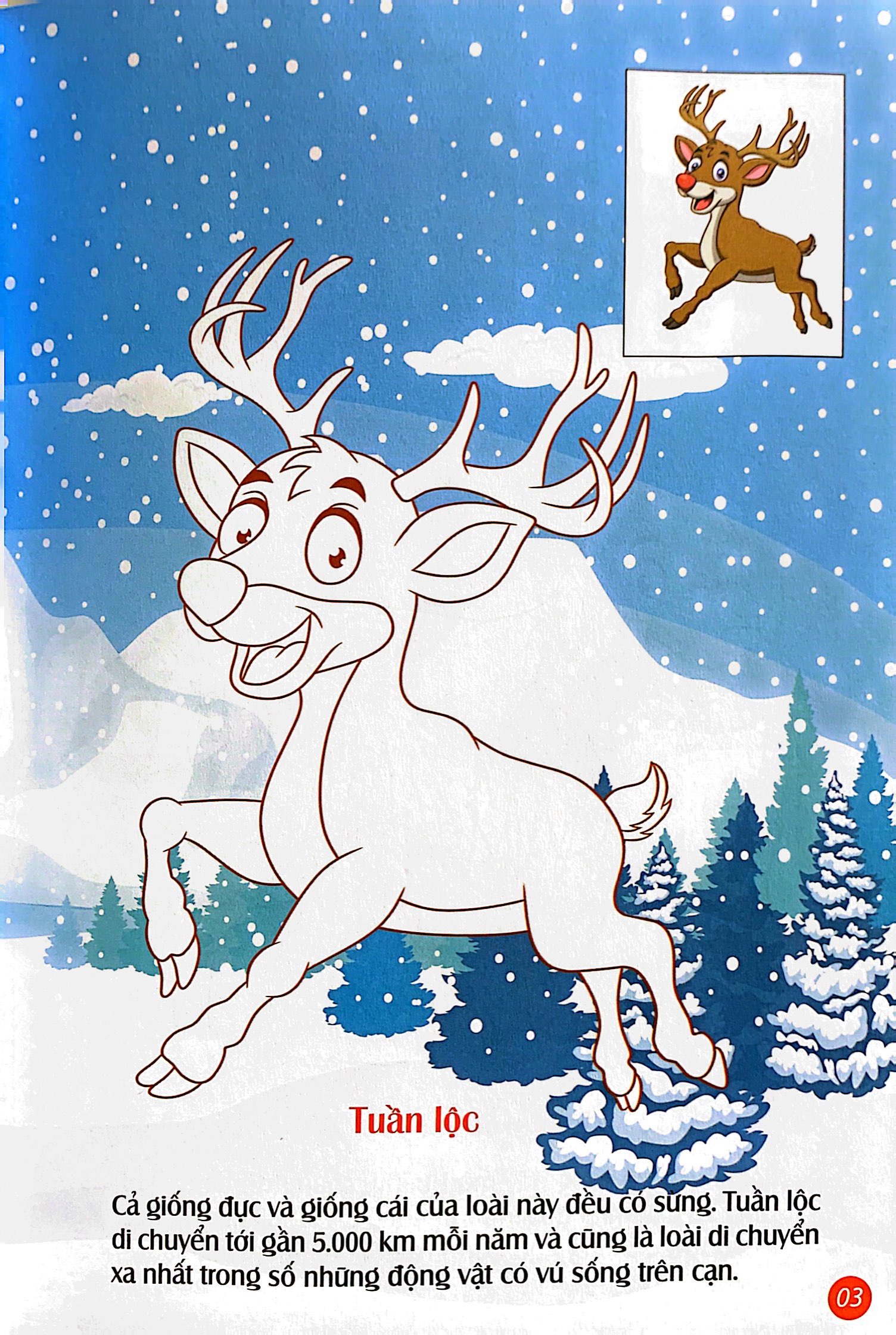 em tô màu - bắc cực lạnh giá