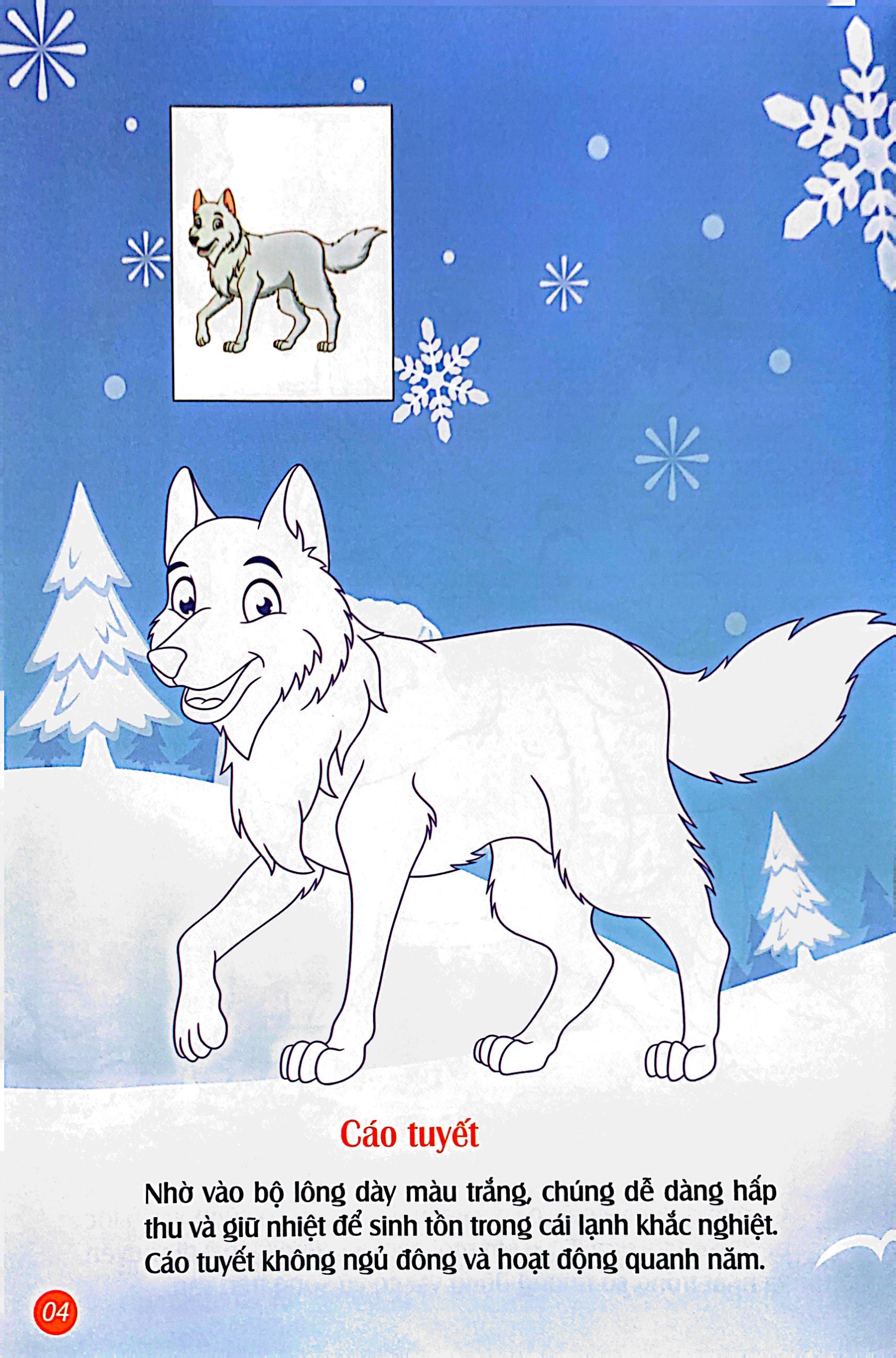 em tô màu - bắc cực lạnh giá