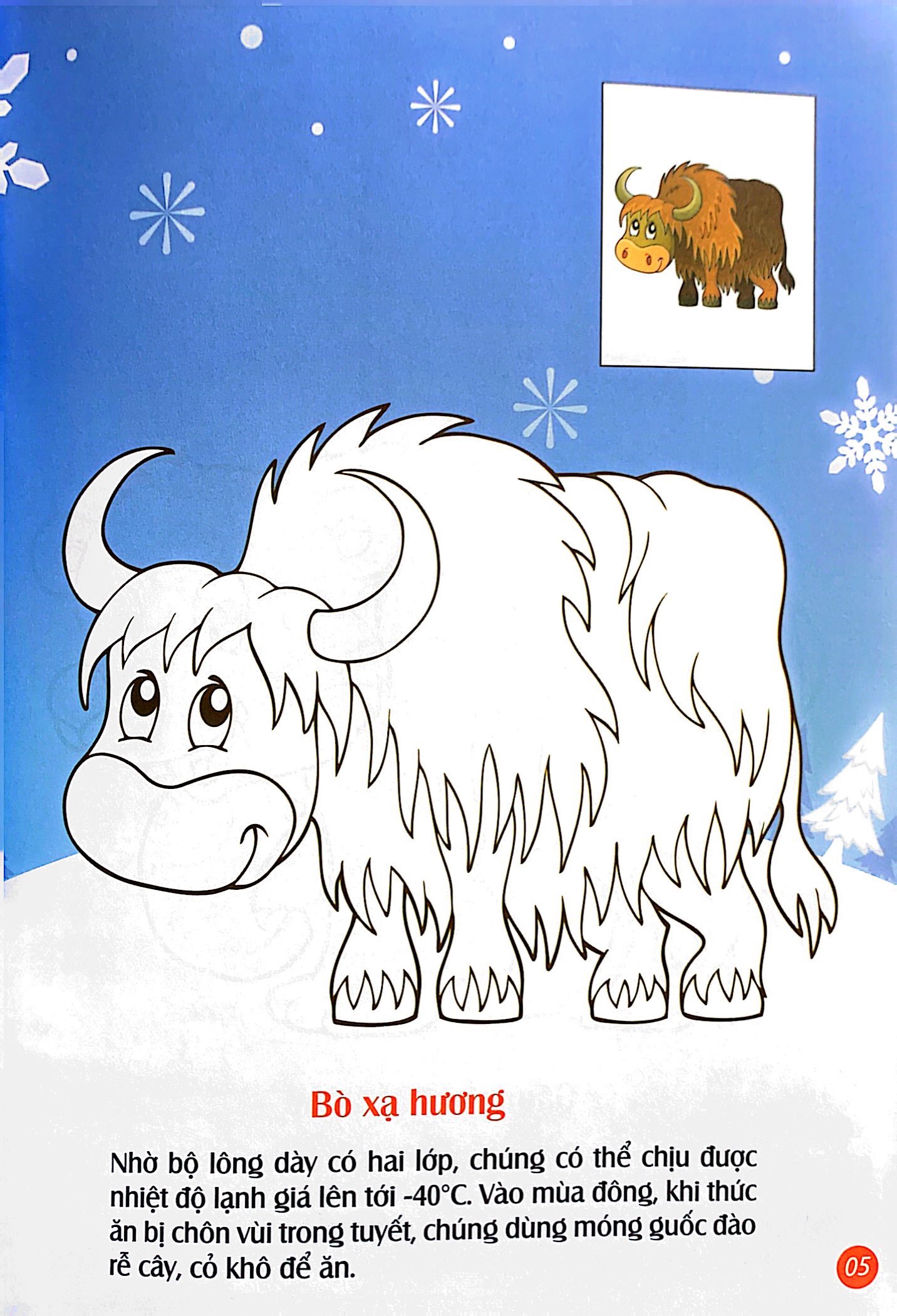 em tô màu - bắc cực lạnh giá