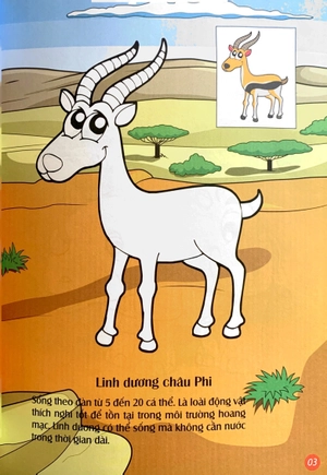 em tô màu - châu phi hoang dã
