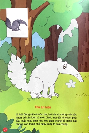 em tô màu - khu rừng kỳ ảo