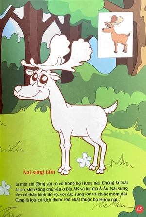 em tô màu - khu rừng kỳ ảo