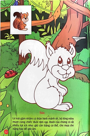 em tô màu - rừng xanh huyền bí