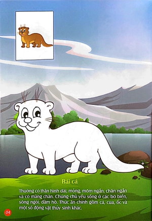 em tô màu - rừng xanh huyền bí