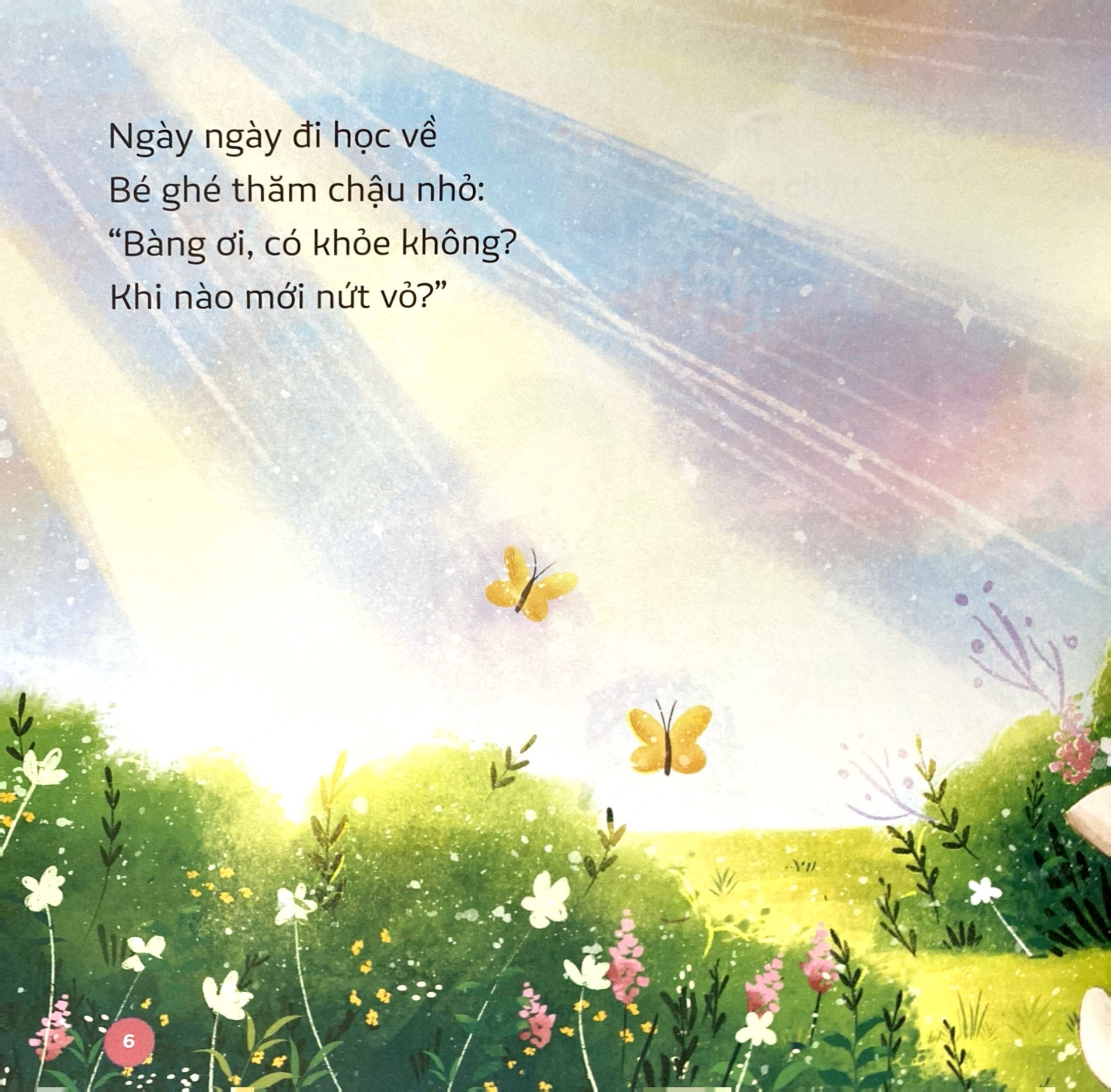 em yêu biển đảo-biên cương - cây bàng vuông của bé