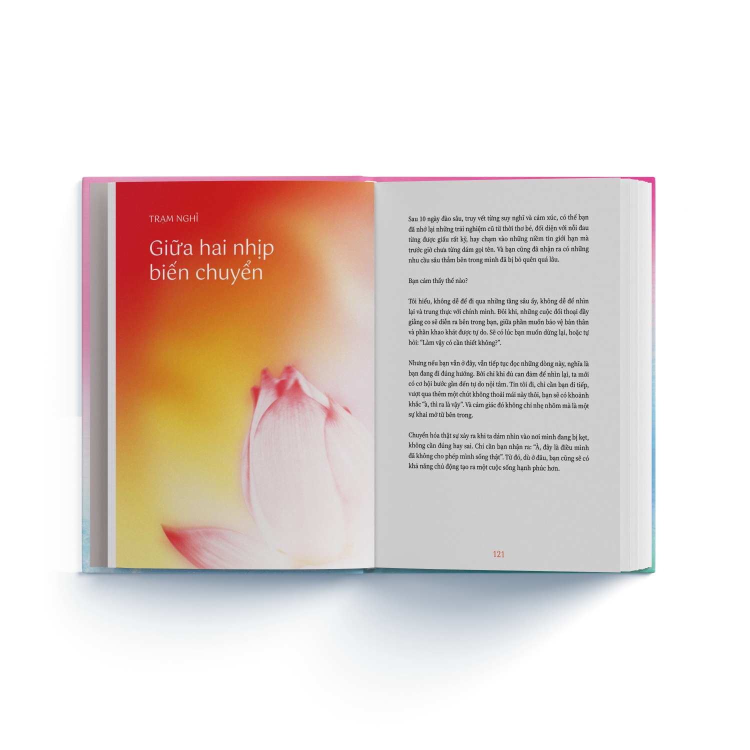 Emotion Coaching - Nhat Ky Chuyen Hoa Cam Xuc Bang Ky Nang Tu Khai Van - Bia Cung