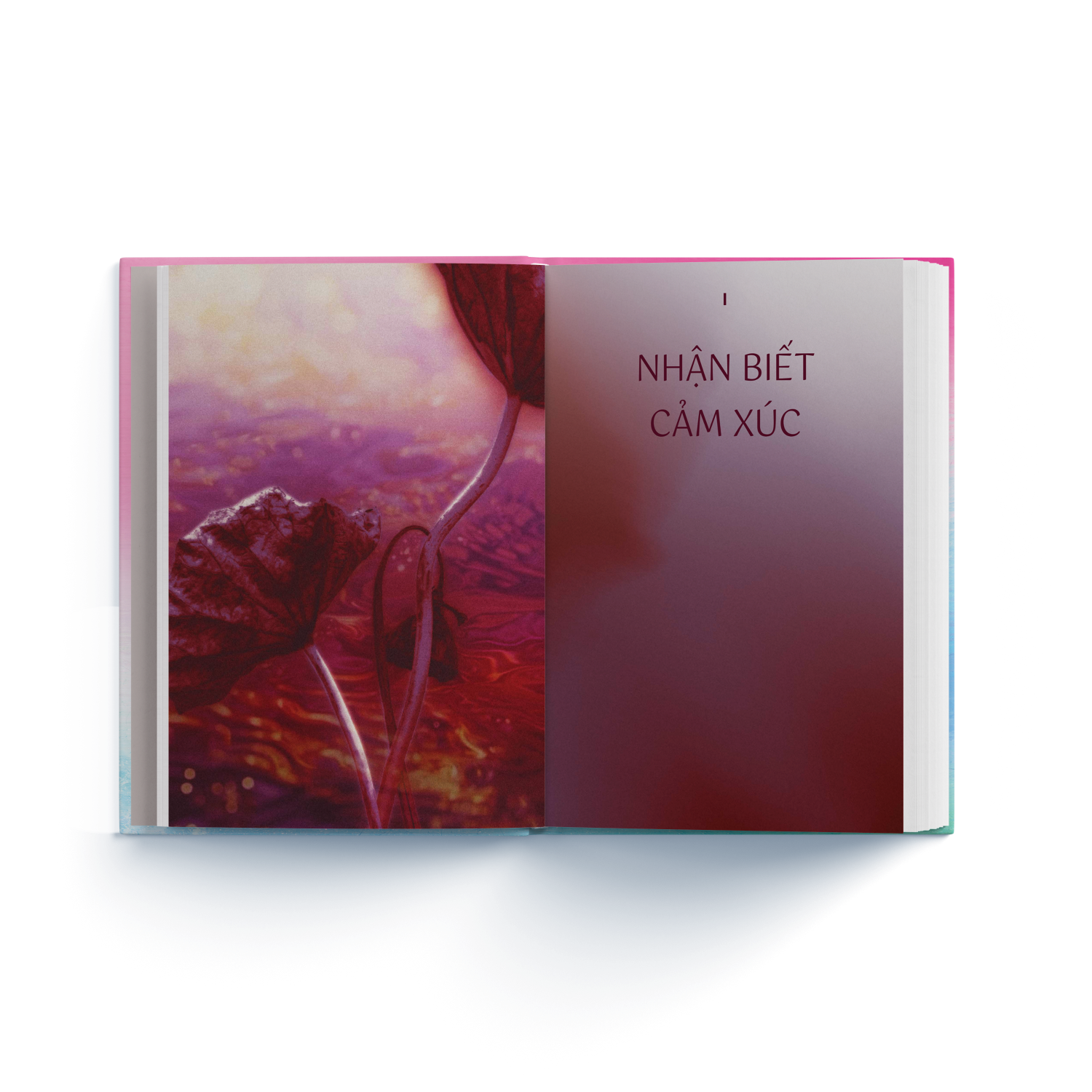 Emotion Coaching - Nhat Ky Chuyen Hoa Cam Xuc Bang Ky Nang Tu Khai Van - Bia Cung