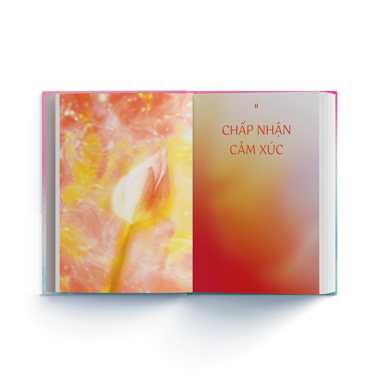 Emotion Coaching - Nhat Ky Chuyen Hoa Cam Xuc Bang Ky Nang Tu Khai Van - Bia Cung