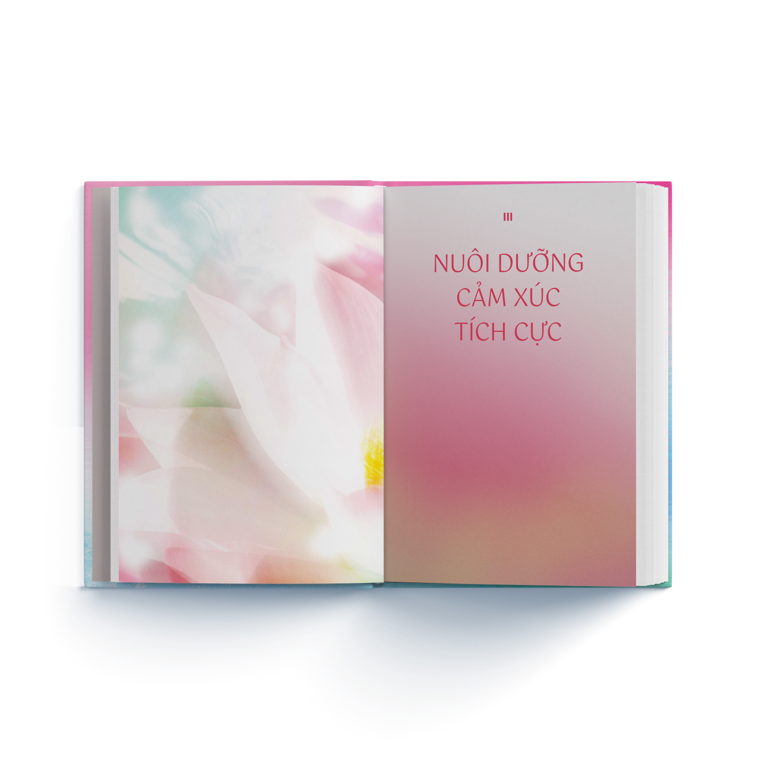 Emotion Coaching - Nhat Ky Chuyen Hoa Cam Xuc Bang Ky Nang Tu Khai Van - Bia Cung