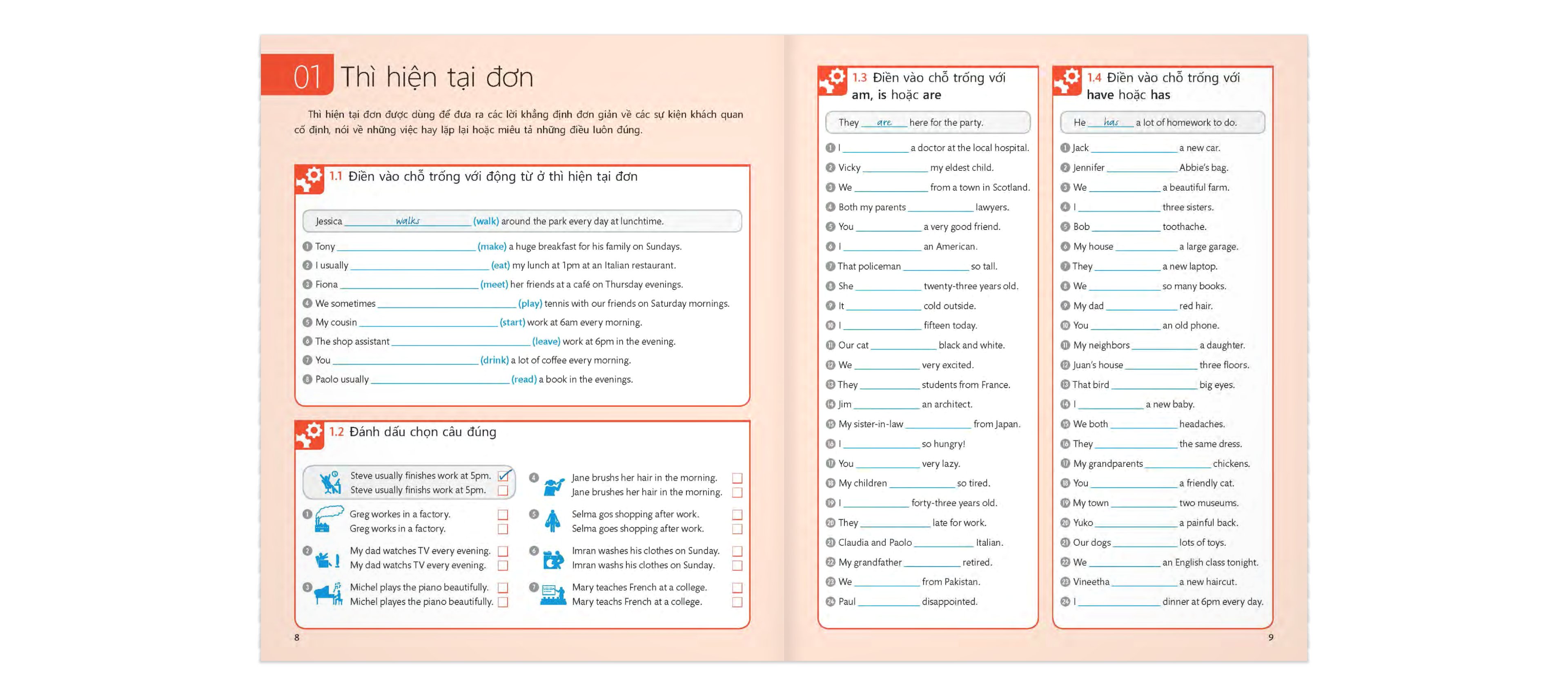 english for everyone - grammar guide - practice book