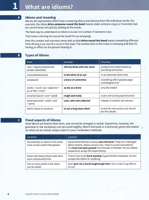 english idioms in use intermediate book with answers (vocabulary in use)
