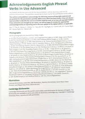 english phrasal verbs in use advanced book with answers (vocabulary in use)