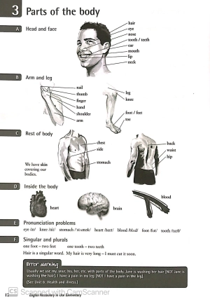english vocabulary in use: elementary book with answers fahasa reprint edition: vocabulary reference and practice (cd-rom)