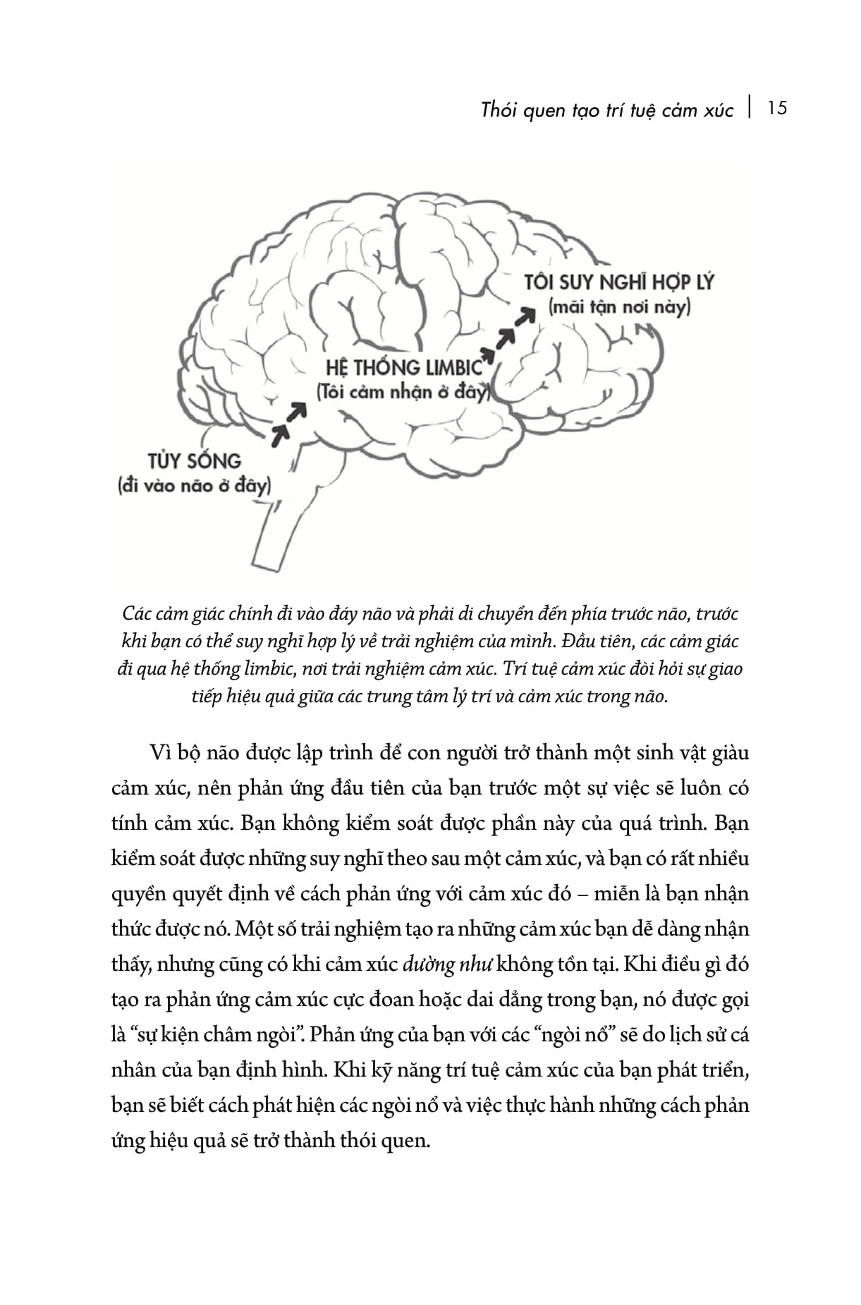 eq đỉnh cao - emotional intelligence habits - thay đổi thói quen, làm chủ cuộc đời