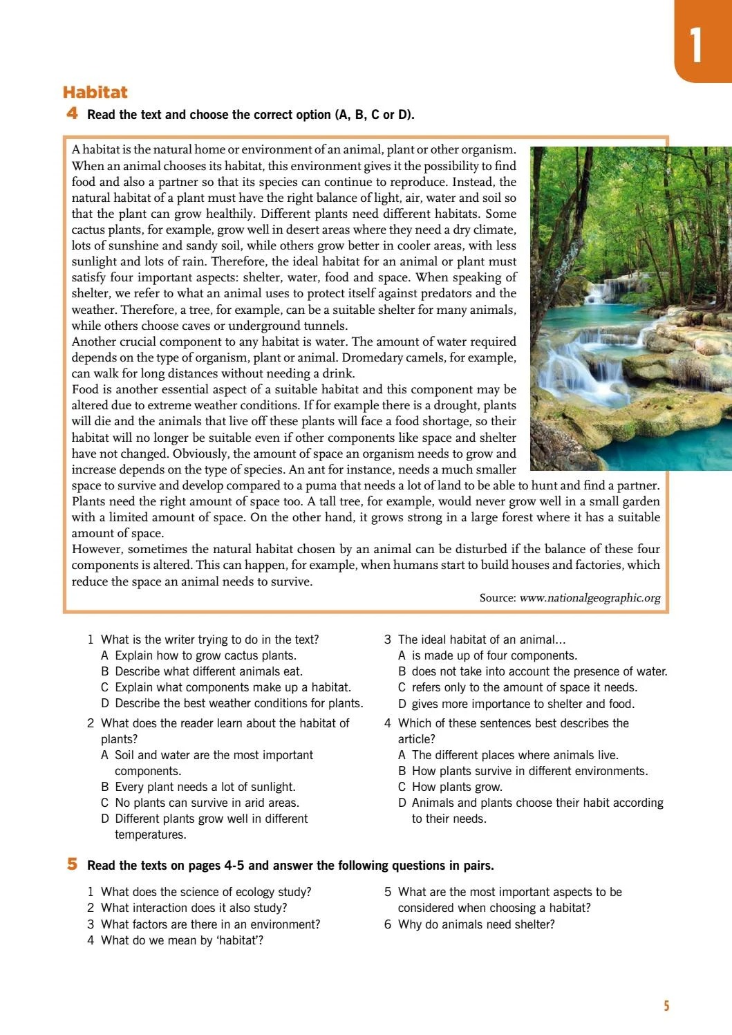 ESP Series - Flash On English For Construction