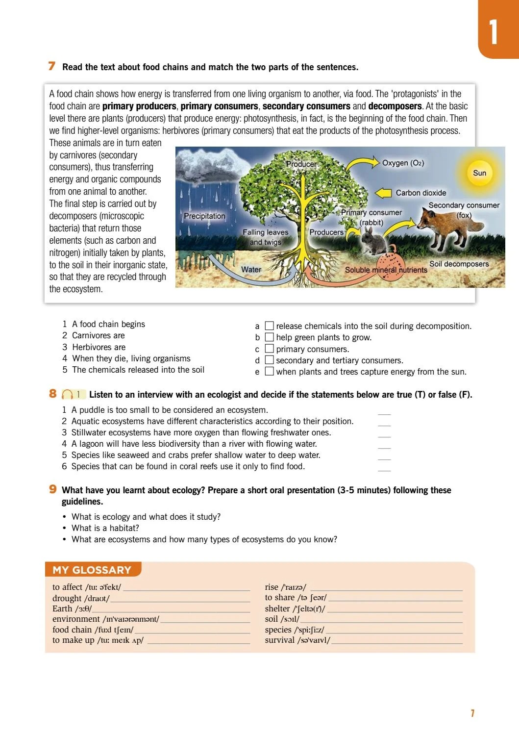 ESP Series - Flash On English For Construction