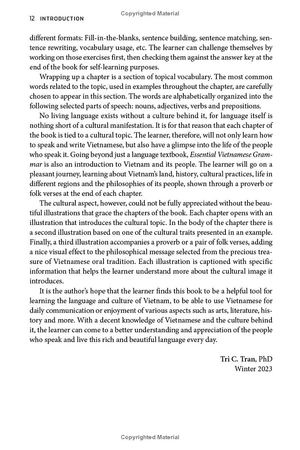 essential vietnamese grammar - a comprehensive guide for foreign learners (free online audio recordings)