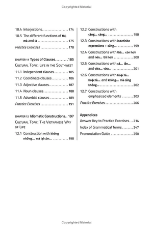 essential vietnamese grammar - a comprehensive guide for foreign learners (free online audio recordings)