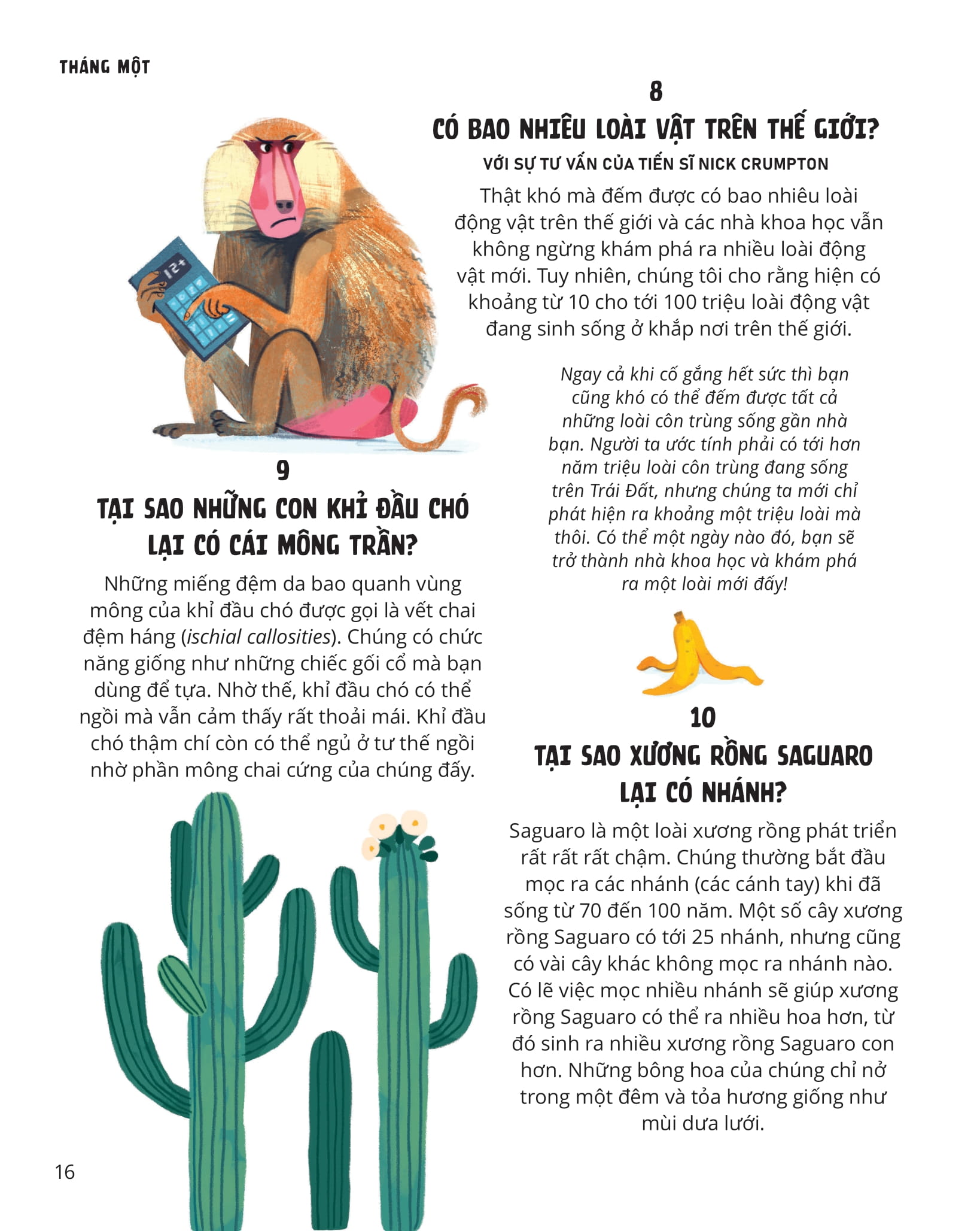 everything under the sun - 366 câu hỏi lý thú của trẻ