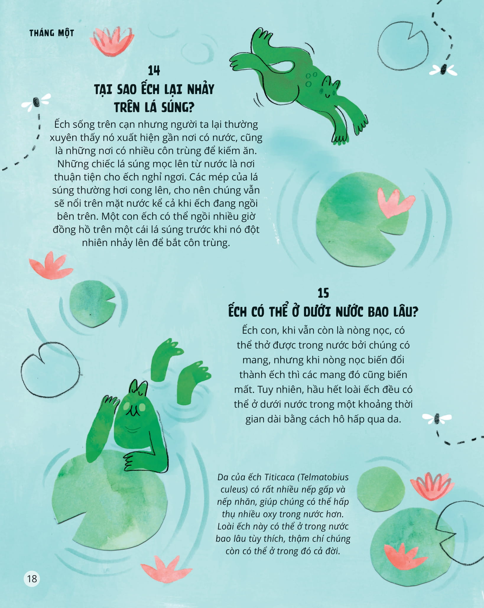 everything under the sun - 366 câu hỏi lý thú của trẻ