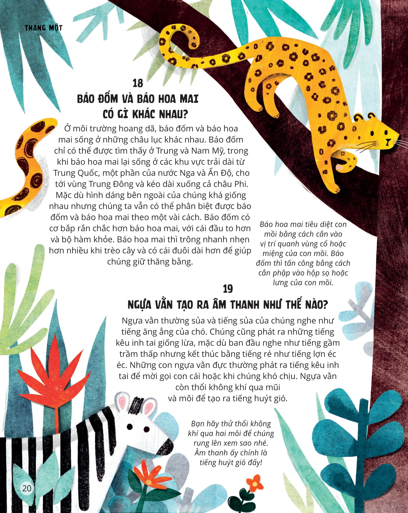 everything under the sun - 366 câu hỏi lý thú của trẻ