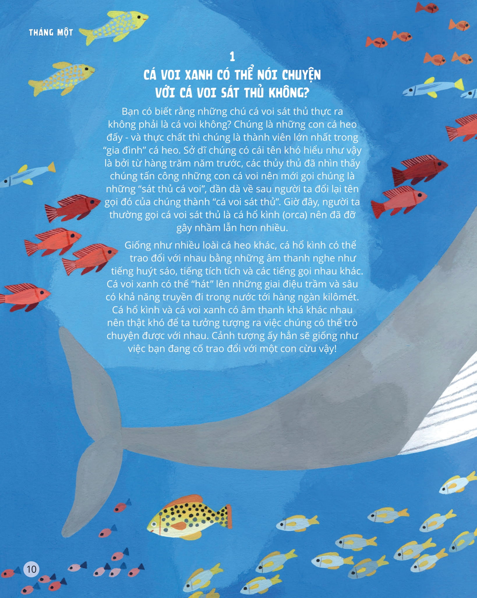 everything under the sun - 366 câu hỏi lý thú của trẻ