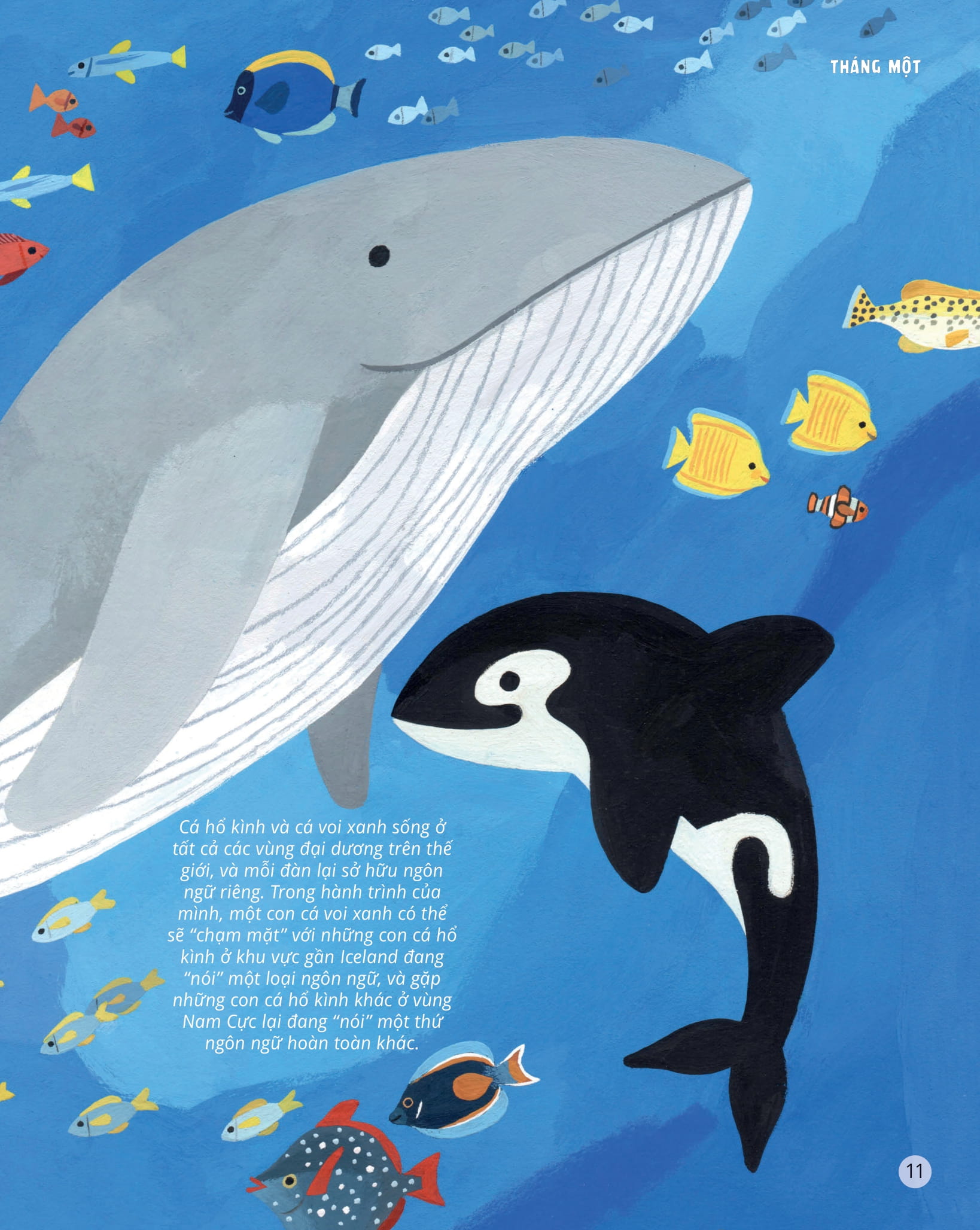 everything under the sun - 366 câu hỏi lý thú của trẻ