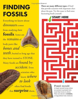 everything you need to know about dinosaurs