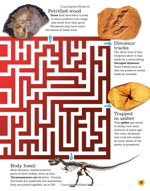 everything you need to know about dinosaurs