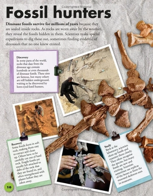 everything you need to know about dinosaurs