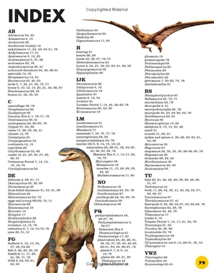 everything you need to know about dinosaurs