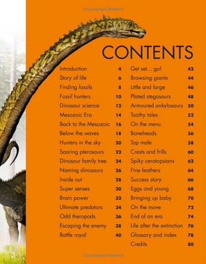 everything you need to know about dinosaurs