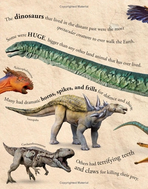 everything you need to know about dinosaurs