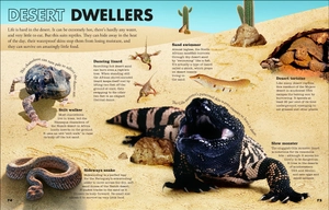 everything you need to know about snakes - and other scaly reptiles