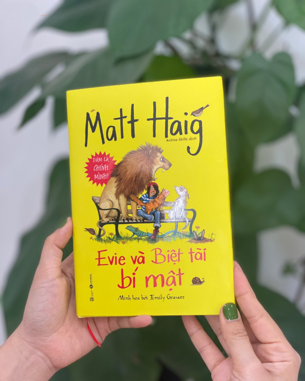 evie và biệt tài bí mật