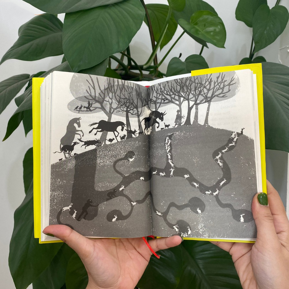 evie và biệt tài bí mật