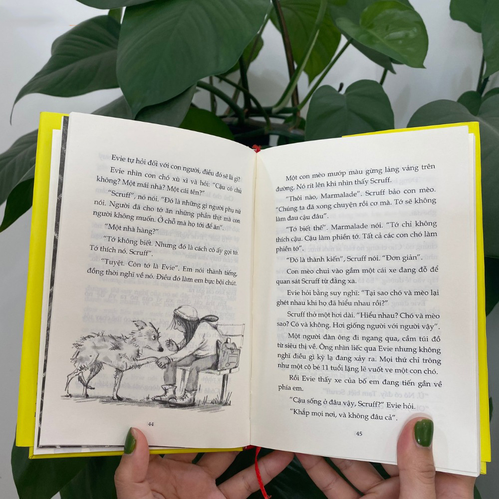 evie và biệt tài bí mật